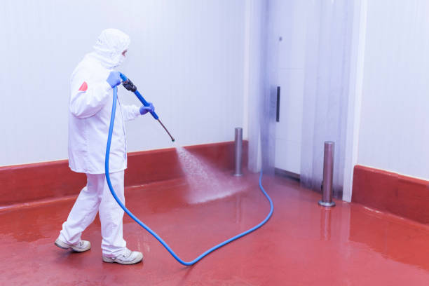 Best Paint Preparation  in Daly City, CA